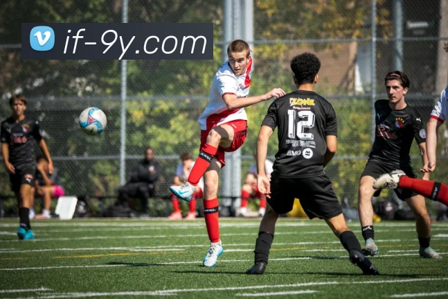 九游官网服务体系